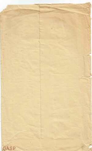Peerless Pattern 3716 PDF Size 36 - Image 2